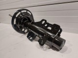 Front Suspension Strut (Left Side)
